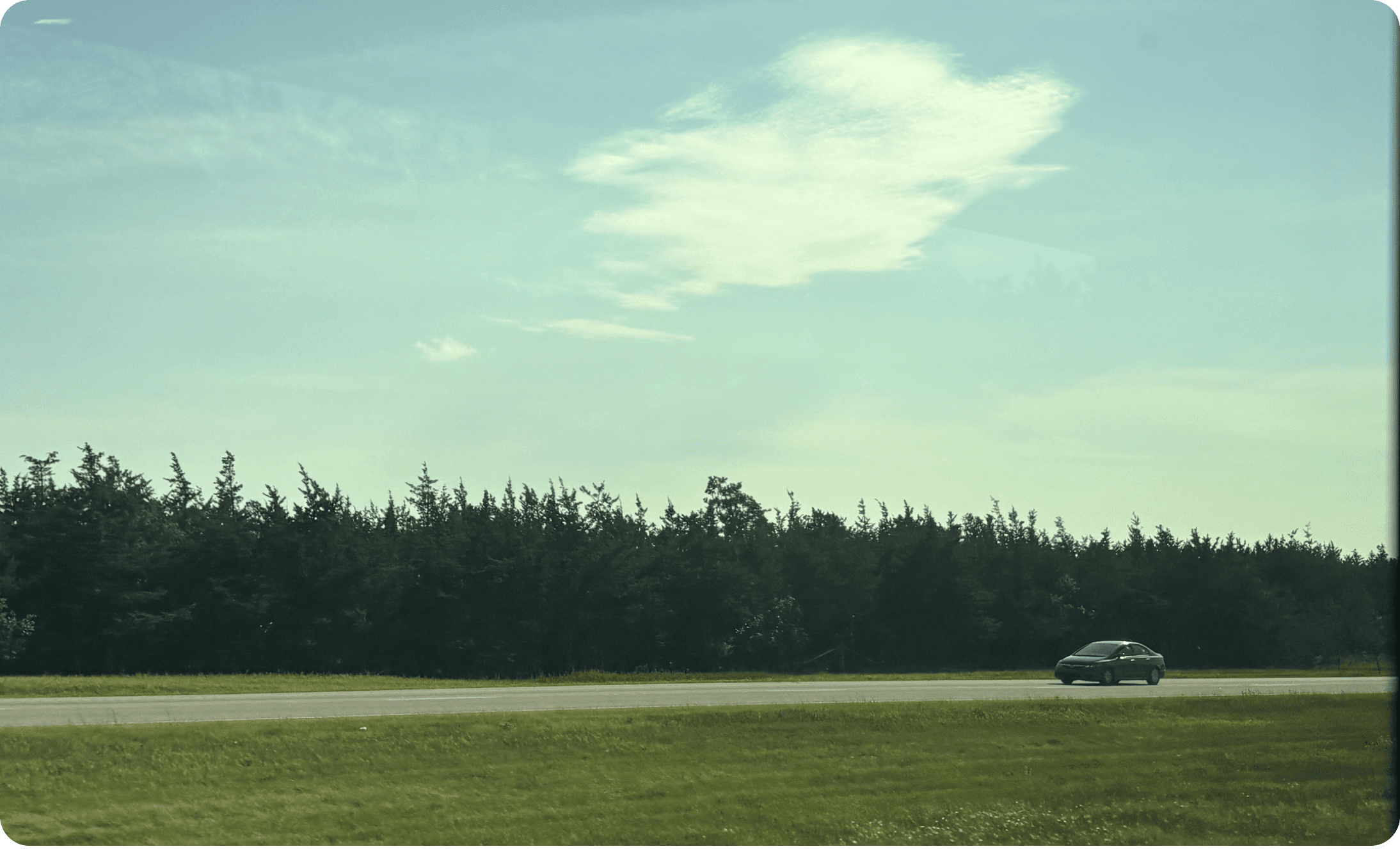 Sky and tree line along a country road