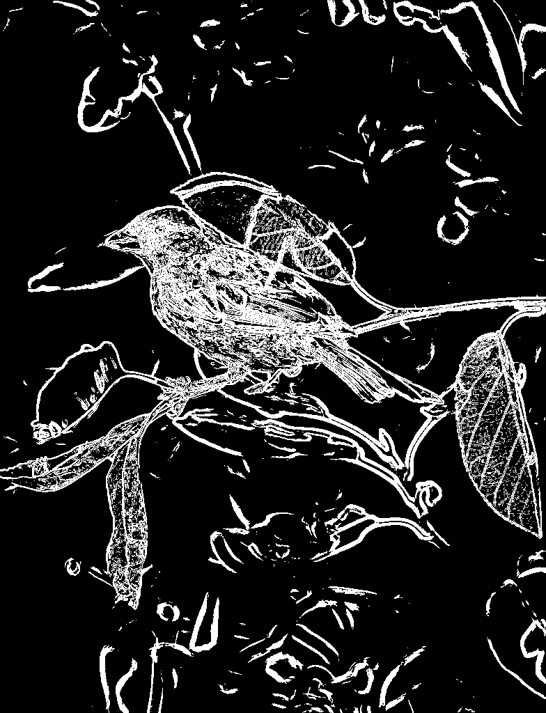Acrylic Robotics: Artwork Complexity Scoring